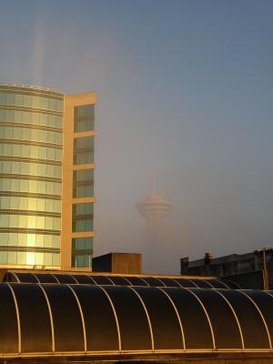 P1180037.jpg