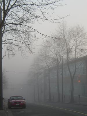 P1180039.jpg