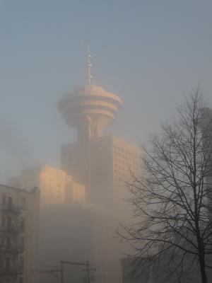P1180041.jpg