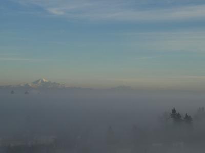 P1180052a.jpg