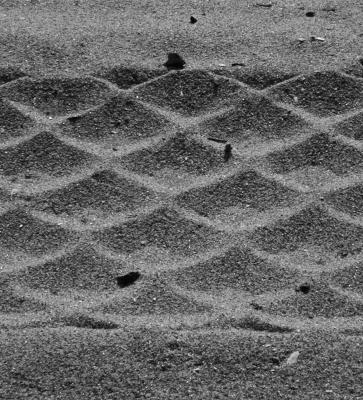 P6140031_bw1.jpg