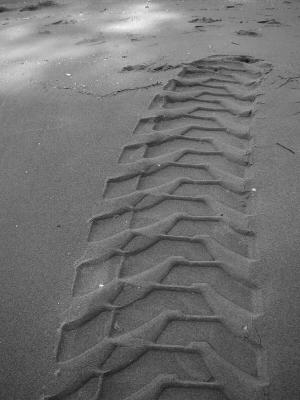 P6140037_bw1.jpg