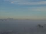 P1180052a.jpg