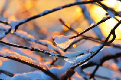 Sun and Snow