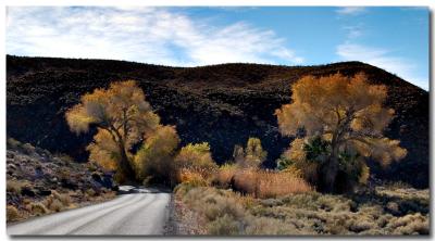 Desert autumn