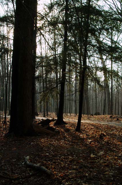 DSCF1435.jpg