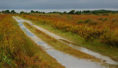 After the Rain