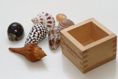 Shells and the wooden cup