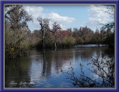 Another view of the Hillsborough River