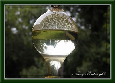 Reflections of our yard in Hummingbird feeder