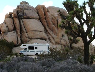 The motorhome in its campsite, a Joshua Tree in the foreground.