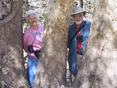 Mom & Dad posing by a sycamore tree