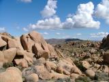 Joshua Tree National Park