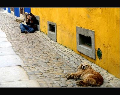 30.04.2005 ... The girl and the dog ...