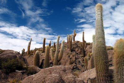 Jeep tour Chile-Bolivia