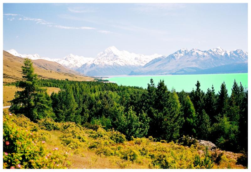 Mt Cook and Lake Pukaki