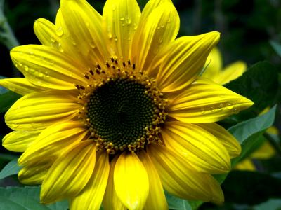 100_0106.JPG