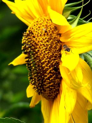 100_0107.JPG