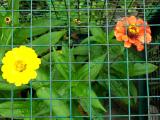 100_0314.JPG