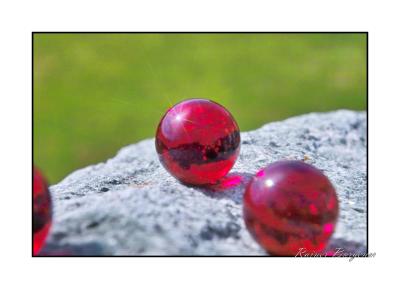 Red Marbles_023