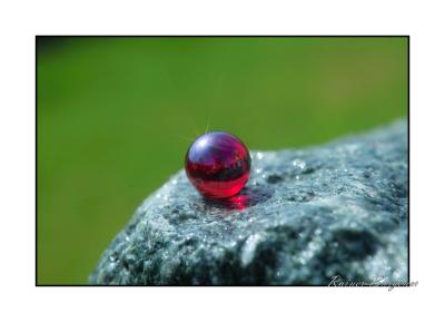 Red Marble_046