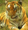 CRW_0103.jpg