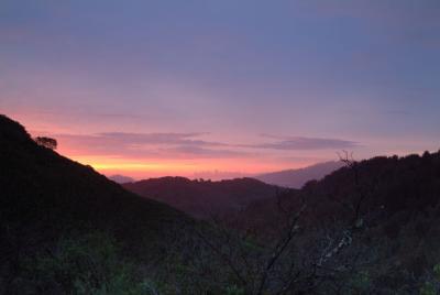 Mount Tam 4.jpg