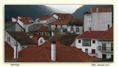 u11/rcruz/medium/38056746.Telhados.jpg
