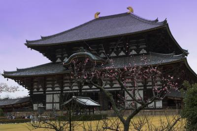 Narra Temple