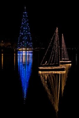 A Lagoa e sua árvore de natal