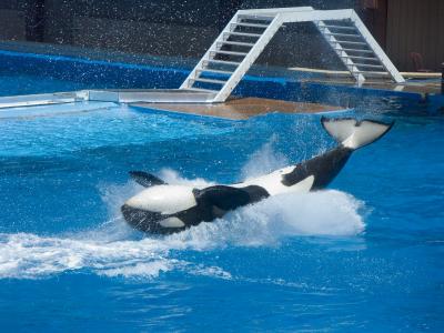 Doing the backstroke