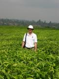 Steve in a tea field