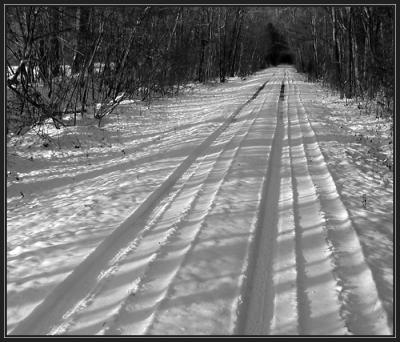 Snow Tracks P1170005.jpg