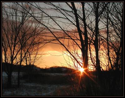 Snowday Sunset  P1170021.jpg