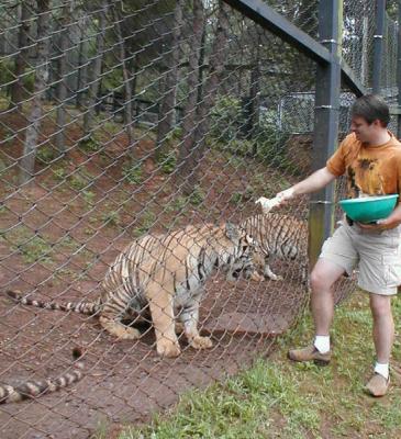 JarrodFeedTigersC.jpg