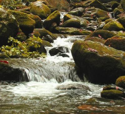 5aJPG Fallwater10-11-0105.jpg