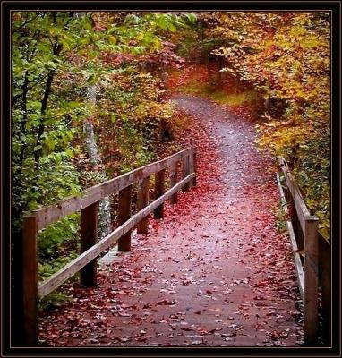 A Bridge To Falls.jpg