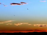 Hill Country Sunset