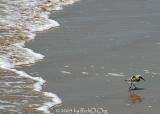 Staying Ahead of the Surf