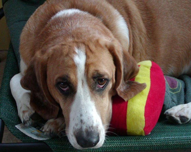 Murfie-#1