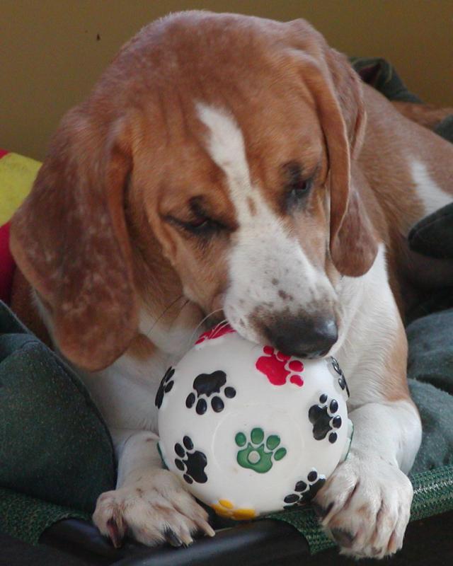Murfie-#2