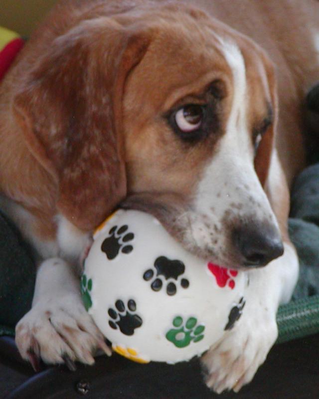 Murfie-#4