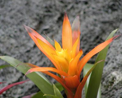 P6080034 8x10.jpg