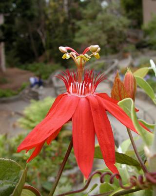 P6080091 8x10.jpg