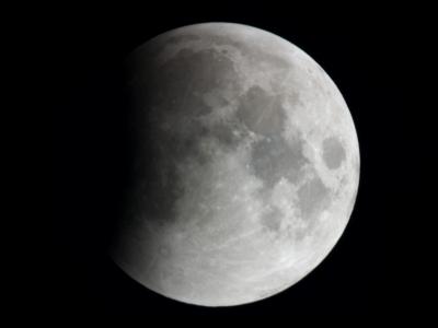 CRW_4480