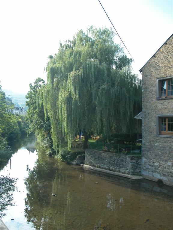 2003-09-09 10-39-23.JPG