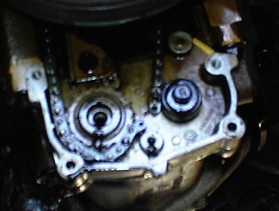 u11/rmscott/medium/6069749.DSC00006.jpg