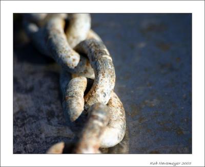 Chain.jpg