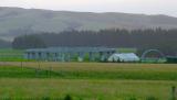 Replica Stonehenge near Martinborough