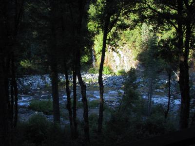 View from our cabin at Herringtons